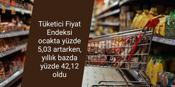 Tüketici Fiyat Endeksi ocakta yüzde 5,03 artarken, yıllık bazda yüzde 42,12 oldu